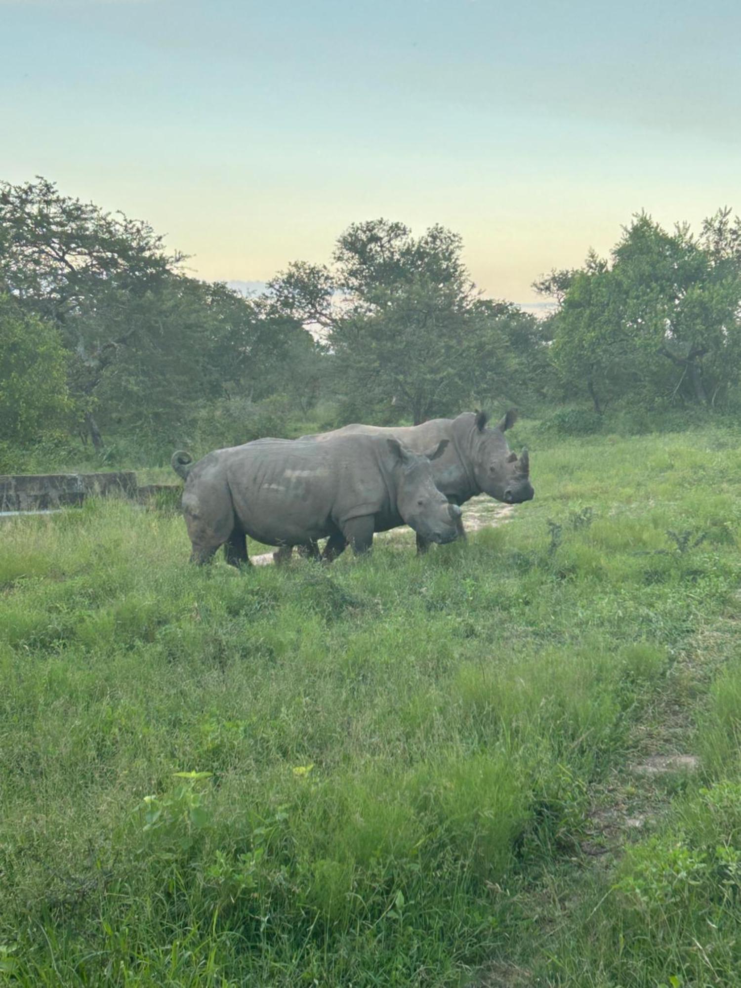 Am Lodge - Hoedspruit Exteriér fotografie