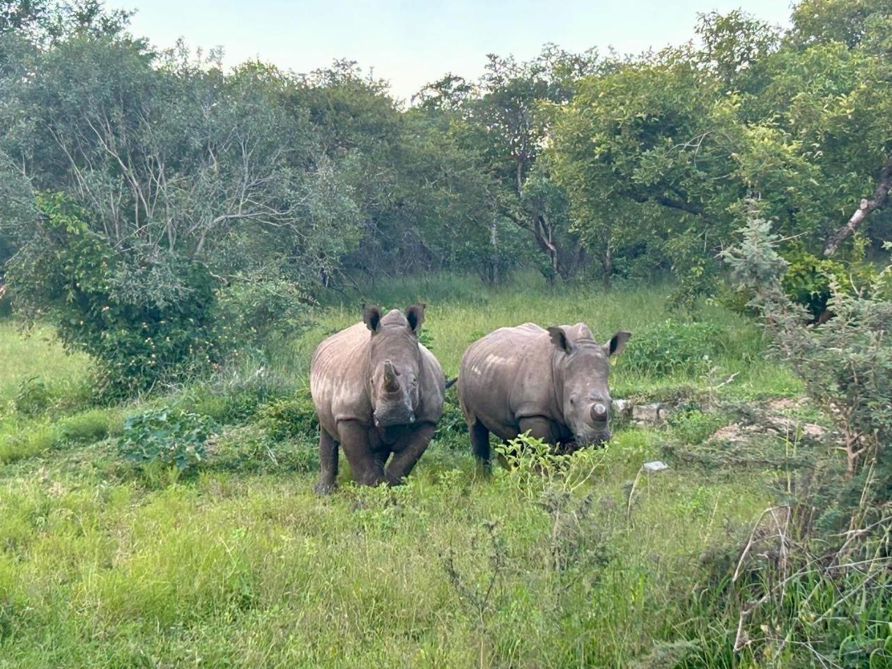 Am Lodge - Hoedspruit Exteriér fotografie