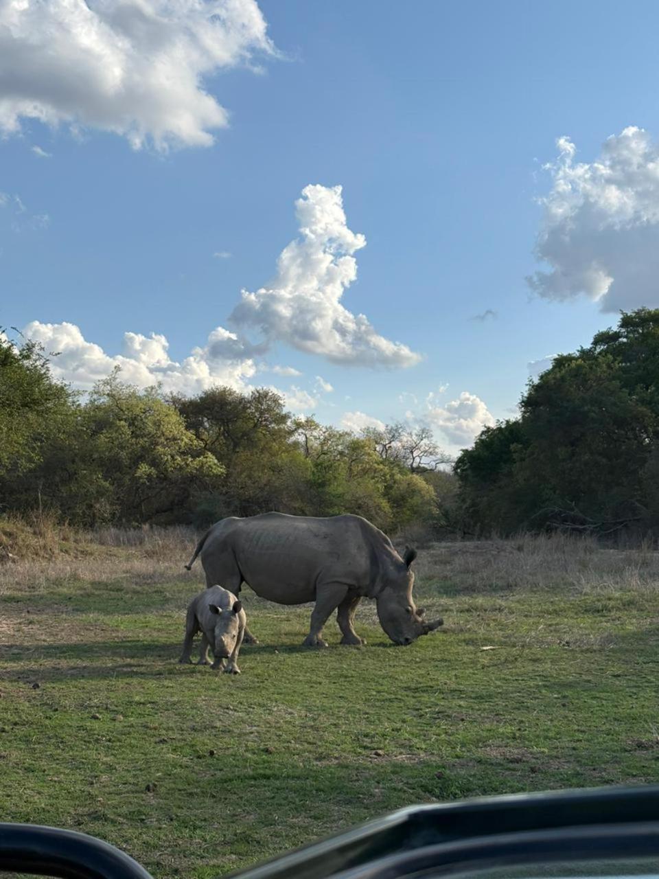 Am Lodge - Hoedspruit Exteriér fotografie