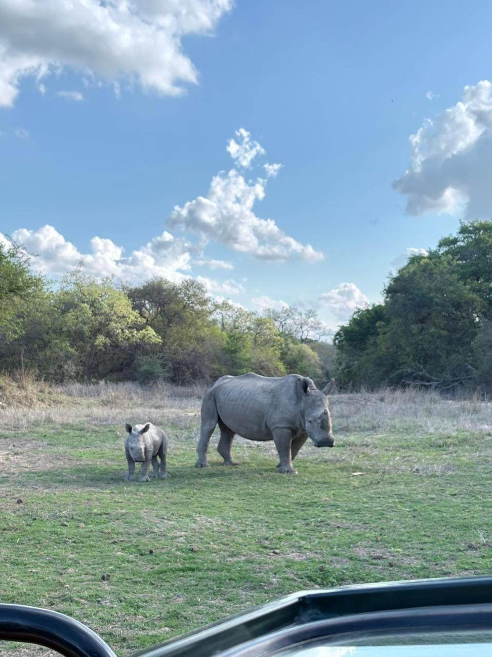 Am Lodge - Hoedspruit Exteriér fotografie